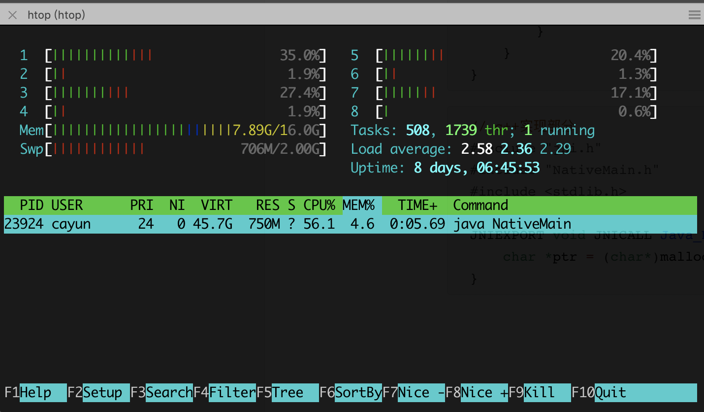 image-20181225185252446